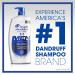 Head & Shoulders Anti-Dandruff 2-in-1 Shampoo & Conditioner, Full & Thick, 31.4 fl. oz, Pack of 2 - Buy Online on GoSupps.com
