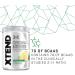 XTEND Original BCAA Powder Lemon Lime Squeeze - 30 Servings | BCAAs & Electrolytes for Recovery | Amino Energy Post-Workout - Buy Online on GoSupps.com