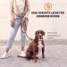 Vitazoo 3m Dog Leash - Adjustable Nylon Leash with Carabiners for Small to Large Dogs - Graphite & Brown Options - Buy Online on GoSupps.com