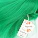 Riyang Women s Green Cosplay Wig - Short BOB Kinky Straight Puff Hair with Full Bangs | Heat Resistant - Buy Online on GoSupps.com