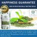Spices Village Mint Leaves 2 Oz - Fresh Dried Spearmint Herbs for Tea - Kosher, Gluten Free, Non GMO - Resealable Bag - Buy Online on GoSupps.com