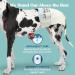 Simple Solution True Fit XXL Dog Diapers for Bitches - Super Absorbent 30 Pack (Waist 55.9 94 cm) - International Shipping Available - Buy Online on GoSupps.com