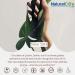 Natural Cure Labs L-Lysine + Monolaurin 600mg 1:1 Ratio - 100 Capsules - Buy Online on GoSupps.com