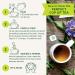 Traditional Medicinals Organic Echinacea Plus Elderberry Tea - 16 Tea Bags (Pack of 6) - Buy Online on GoSupps.com