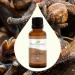 Buy Organic Clove Bud Essential Oil - 100% Pure USDA Certified Therapeutic Grade | Plant Therapy 30 mL (1 oz) - International Shipping Available - Buy Online on GoSupps.com