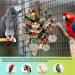 Bird Toys for Large Birds - Natural Peppered Wood for African Grey Parrots, Macaws, Cockatoos, Amazon Parrot - Aviary Hanging Chew Toys - Buy Online on GoSupps.com