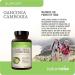 Naturewise Garcinia Cambogia with Natural Garcinia Cambogia Extract, 60% HCA Concentration, Natural Support for Weight Goals and Energy - Vegan, Non-GMO, Gluten Free - 90 Capsules[1-3 Month Supply] - Buy Online on GoSupps.com