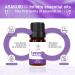 ASAKUKI Lavender Essential Oil - 10ml Natural Therapeutic Grade Oil for Diffuser, Home, Candle & Soap Making, Skin & Hair Care | YAHIME Infinite Series - Buy Online on GoSupps.com