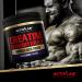 Activlab Creatine Monohydrate 300g - Black Currant - 50 Portions - Enhanced with Taurine for Power & Endurance - Ideal for Bodybuilders & Athletes - Buy Online on GoSupps.com