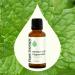Plant Therapy Peppermint Western U.S. Essential Oil 30 mL (1 oz) 100% Pure Undiluted Therapeutic Grade - Buy Online on GoSupps.com