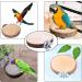 3-Piece Parrot Platform Stand Accessories | Bird Toys & Stations for Hamsters - Durable Cork & Nibble Balls - Buy Online on GoSupps.com