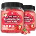 (2 Pack) Sugar Free Calcium Multivitamin Gummies for Kids - Nutritional Immune Bone Support Whole Multivitamin with Vitamins A C D B1 B2 B6 Folate Methyl B12 Calcium Magnesium 120 Ct