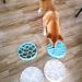 8 Inch Slow Feeder Bowl for Dogs and Cats - Anti-Gulping Healthy Eating Design - Ideal for Small to Medium Pets - Primary Color - Buy Online on GoSupps.com