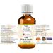 Buy Greenwood Essential Natural Carrot Oil | Therapeutic Cold-Pressed (Pack of 2) - 100ml X 2 | International Shipping Available - Buy Online on GoSupps.com
