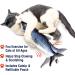 Ontel Flippity Fish Cat Toy - Interactive Playtime Fun for Your Feline Friend - Buy Online on GoSupps.com