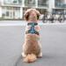 DOG Copenhagen Comfort Walk Air 3.0 Hundegeschirr - Ocean Blue | Premium Dog Harness for Ultimate Comfort | Shop Internationally - Buy Online on GoSupps.com