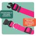 Dey Premium Adjustable Dog Collar | Nylon Neck Bands for Small & Large Dogs | Multiple Colors & Sizes | Pink Rosa S - 1.5 x 27-37 cm - Buy Online on GoSupps.com
