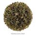Buy Tea Forte Organic Green Tea - Moroccan Mint | 35-50 Cups 90ml Loose Leaf - Premium Quality International Shipping - Buy Online on GoSupps.com