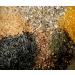 Fibroid Ease Herbal Tea: Natural Support for Fibroids | Rising Phoenix Apothecary - Buy Online on GoSupps.com