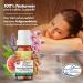 Nordholz Sauna Infusion - 48 Exclusive 15ml Varieties | #25 Luxury of the Alps - Premium Sauna Fragrance & Accessories for Relaxing Moments - Buy Online on GoSupps.com
