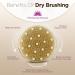 Natural Bristle Dry Skin Body Brush with Adjustable Strap and Massage Nodes - Exfoliates, Removes Cellulite, and Improves Lymphatic Functions - Buy Online on GoSupps.com