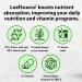 LeafSource Humic Fulvic Acid Liquid 2oz - Trace Minerals with Electrolytes, Collagen, Vitamins - Superior Ratio for Energy, Gut & Joint Health, Immune Support - 180 Servings - Buy Online on GoSupps.com