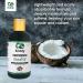 Buy Seddy Fractionated Coconut Oil 100% Pure & Natural Moisturizing Carrier Oil for Skin Hair & Body Unscented Hexane Free 8 Fl. Oz - International Shipping Available - Buy Online on GoSupps.com