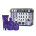 Alfaparf Milano Semi di Lino Anti-Yellow Gift Set for Blonde Platinum and Silver Hair - Sulfate Free Shampoo Conditioner and Spray - Removes Yellow and Brassy Tones - Corrects Brassiness