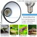 ICepark Turtle Heat Lamp - 25W & 50W UV UVA UVB Reptile Terrarium Lighting for Lizards & Aquatic Animals | E27 Heating Lamp Accessories - Buy Online on GoSupps.com