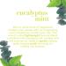 OGX Eucalyptus Mint Body Lotion 19.5 Fl Oz - Intensely Invigorating Formula - Buy Online on GoSupps.com