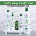 CHI Powerplus Starter Kit - Shampoo Conditioner & Scalp Treatment | International Shipping Available - Buy Online on GoSupps.com