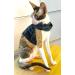 Mynwood Cat Jacket/Harness Black Watch Tartan Adult Cat - Buy Online on GoSupps.com