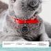 Personalized Cat Collar for Medium to Large Cats - Ibera Gifts Engraved Name & Address - Round Shape Cat Necklace (Black) - Buy Online on GoSupps.com