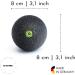 BLACKROLL BALL/MINI Set - Fascia Relief for Muscle Tension | Made in Germany - Ball 08 & Ball 12 & Mini - Buy Online on GoSupps.com