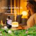 Lotus Essential Oil 4 Fl Oz and Gardenia Reed Diffuser 6.7 fl oz Perfect for Christmas Christmas Eve Halloween Thanksgiving New Year's Day Valentine's Day and Easter Gifts - Buy Online on GoSupps.com