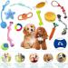 Amzeeniu 14 Pcs Dog Toys Set - Durable Rope Balls & Chew Toys for Small Medium & Large Dogs - Interactive Training & Teething Play - Buy Online on GoSupps.com