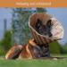 Nobleguard Halskrause Dog Collar - Adjustable Lick Protection | Robust Breathable Easy to Clean | Perfect for All Breeds | Soft & Stable Recovery Support - Buy Online on GoSupps.com