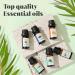 BABYPEACH Essential Oils Set - Top 6 Aromatherapy Oils Perfect for Diffuser Humidifier Candle Making Home Care Gifts - Lavender Eucalyptus Orange Peppermint Lemongrass Tea Tree (Pack of 6 10ml) - Buy Online on GoSupps.com