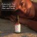 Baja Basics Prickly Pear Seed Oil - Pure & Organic Extra Virgin Cold Pressed Facial Oil for Glowing Skin - Natural Moisturizer for Face Hair & Body - Gua Sha - Scar Treatment - 2 oz 2 Fl Oz (Pack of 1) - Buy Online on GoSupps.com