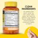 MASON NATURAL Stress B Complex with Antioxidants + Zinc 2 Month Supply Dual Action Formula Supports Immune Health 1 Pack - Buy Online on GoSupps.com