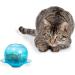 PetSafe Fishbowl Cat Toy - Interactive Food Dispensing Toy for Cats - Buy Online on GoSupps.com