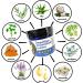 Tamed Organics Impetigo Relief Cream - Natural Fast-Acting Formula for Soothing & Healing, 2 Large 1.9 oz Jars - Anti-Itch & Anti-Scar for Adults & Children, 3.8 oz Total - Buy Online on GoSupps.com