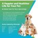 5Strands Pet Food Intolerance Test: At-Home Sensitivity Test for Dogs & Cats | 270 Items | Results in 7 Days - Protein, Grain, Fruit, Preservatives | Hair Analysis | Accurate for All Ages and Breeds - Buy Online on GoSupps.com