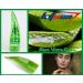 99% Purity Aloe Vera Gel for Face Body and Hair & Soothing Moisture After-Sun Aftershave Dry Skin (250ml) 250 ml (Pack of 1) - Buy Online on GoSupps.com