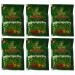 Amina Henna Natural Black Hair Colour Heena Mehndi 25 g (Pack of 6)