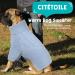Classic Knitted Dog Sweater with Turtleneck | Soft & Warm Cold Weather Knit Vest for Small Medium Dogs | Cit toile Blue S - Buy Online on GoSupps.com