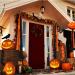 1640ft Halloween Crepe Paper Streamers in Black and Orange - 20 Rolls for Halloween Decorations - Buy Online on GoSupps.com