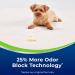 Woolite Advantage Heavy Traffic Carpet Foam - 4 Pack - New 2022 | Deep Cleaning Formula - Buy Online on GoSupps.com