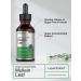 Mullein Leaf Liquid Extract 2 fl oz | Alcohol-Free, Vegetarian, Non-GMO & Gluten-Free | Horbaach - Buy Online on GoSupps.com