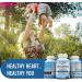 Arteries & Veins Health Support Supplement with L-Arginine & Ginger Root - Promotes Healthy Blood Circulation & Heart Health - 90 Capsules - Buy Online on GoSupps.com